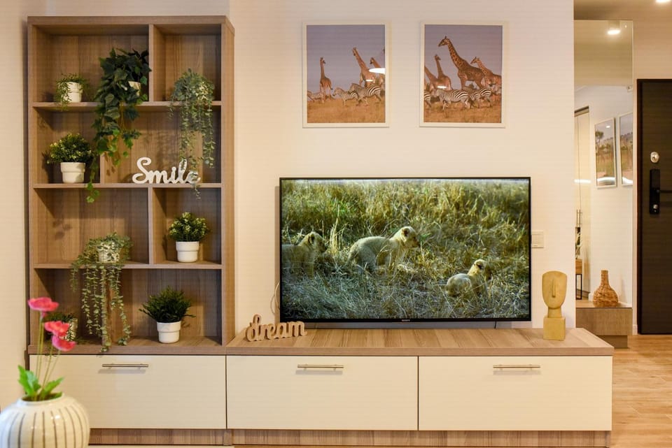 Communal lounge/ TV room, TV and multimedia, Decorative detail