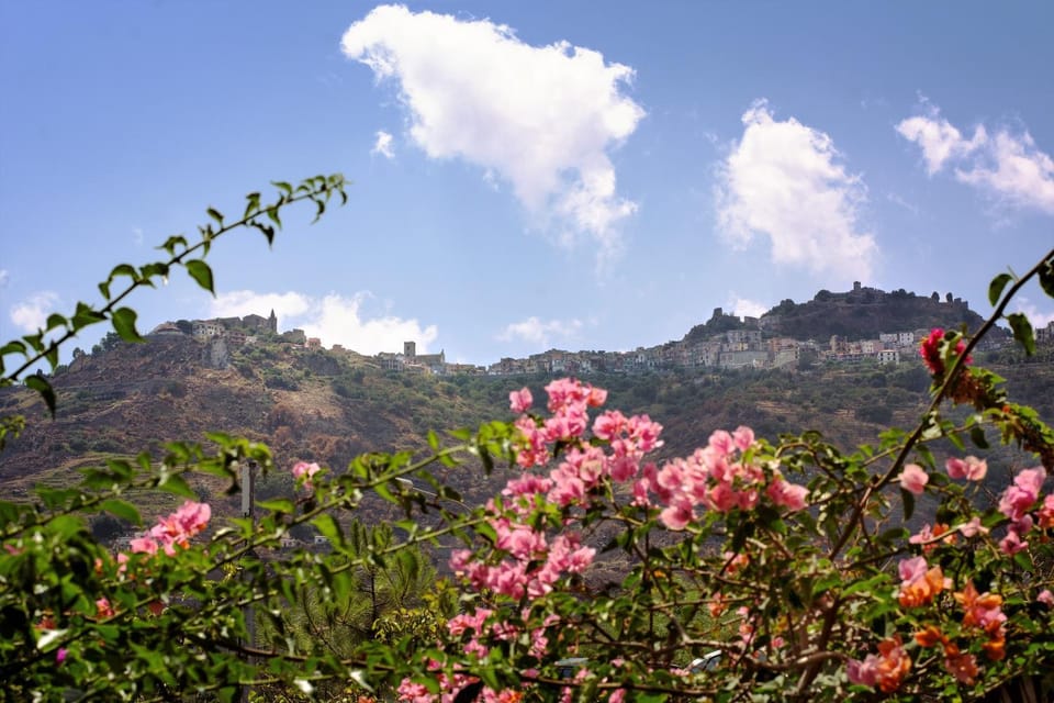 Natural landscape