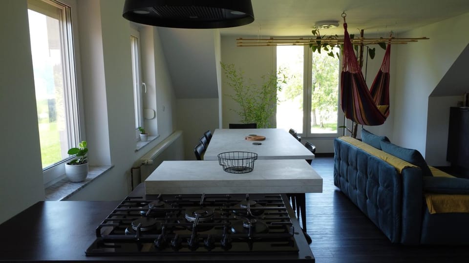 Kitchen or kitchenette, Seating area, Dining area, kitchen