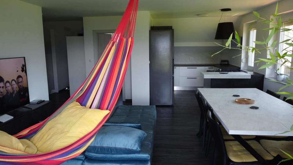TV and multimedia, Kitchen or kitchenette, Living room, Photo of the whole room, Seating area, Dining area