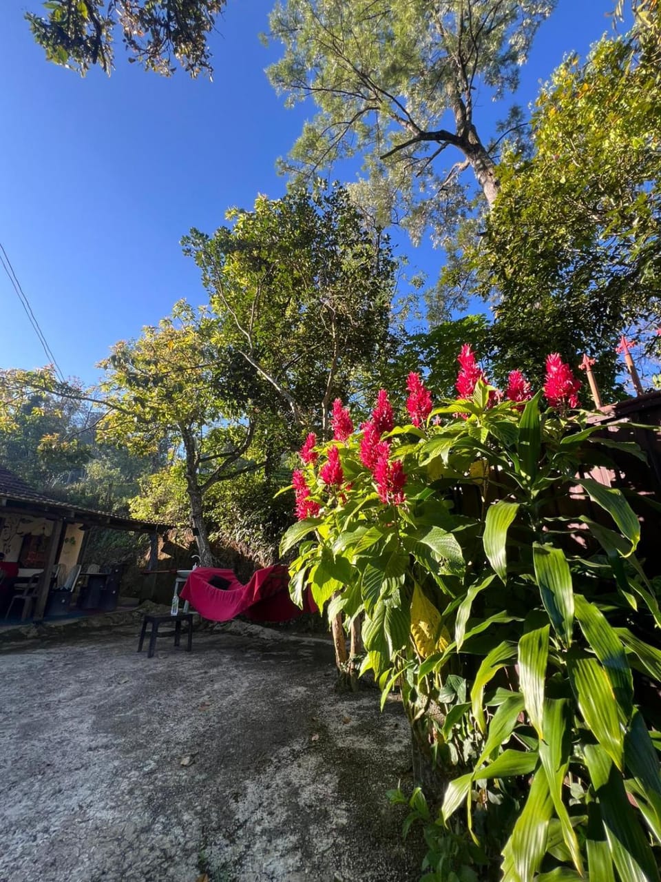 HOME HOSTEL ELLA private rooms only Vacation rental in Ella