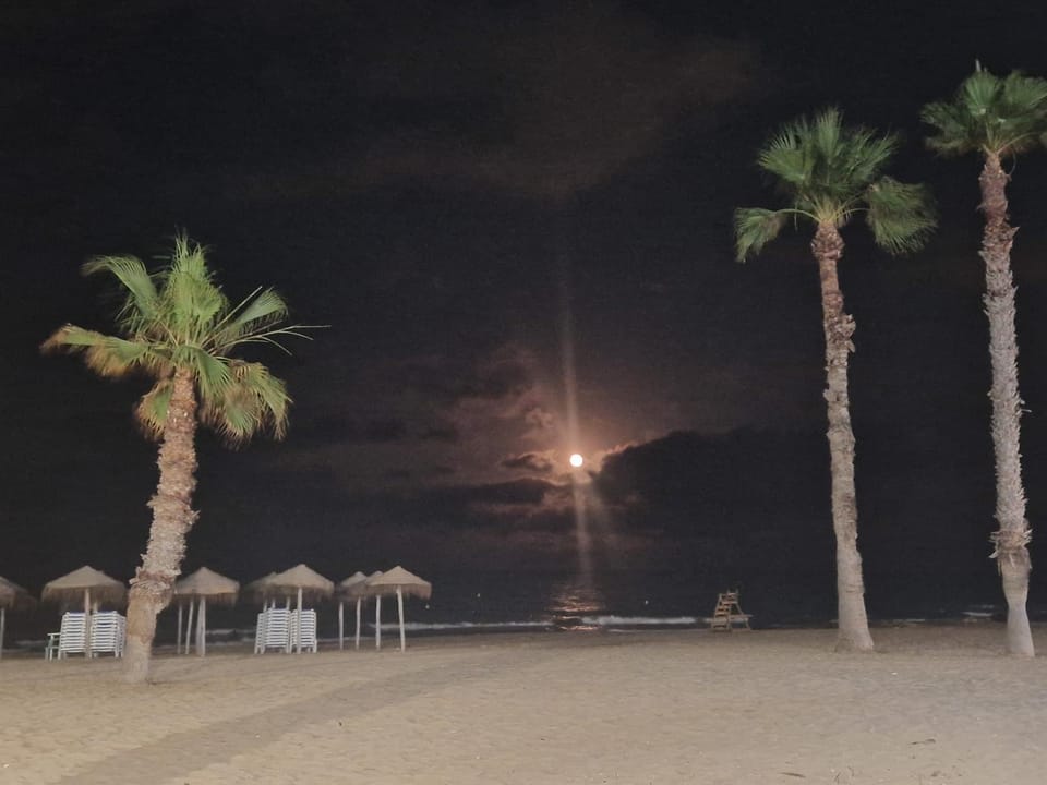 Lovely apartment near the beach in Sunny La Mata Apartment in Torre La Mata