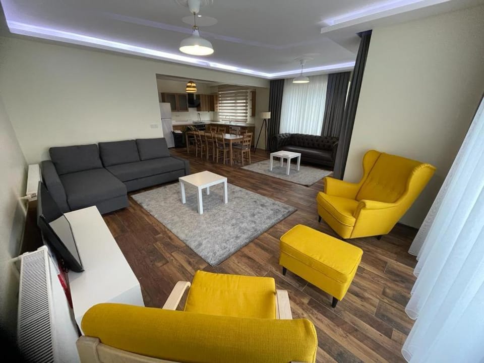 TV and multimedia, Living room