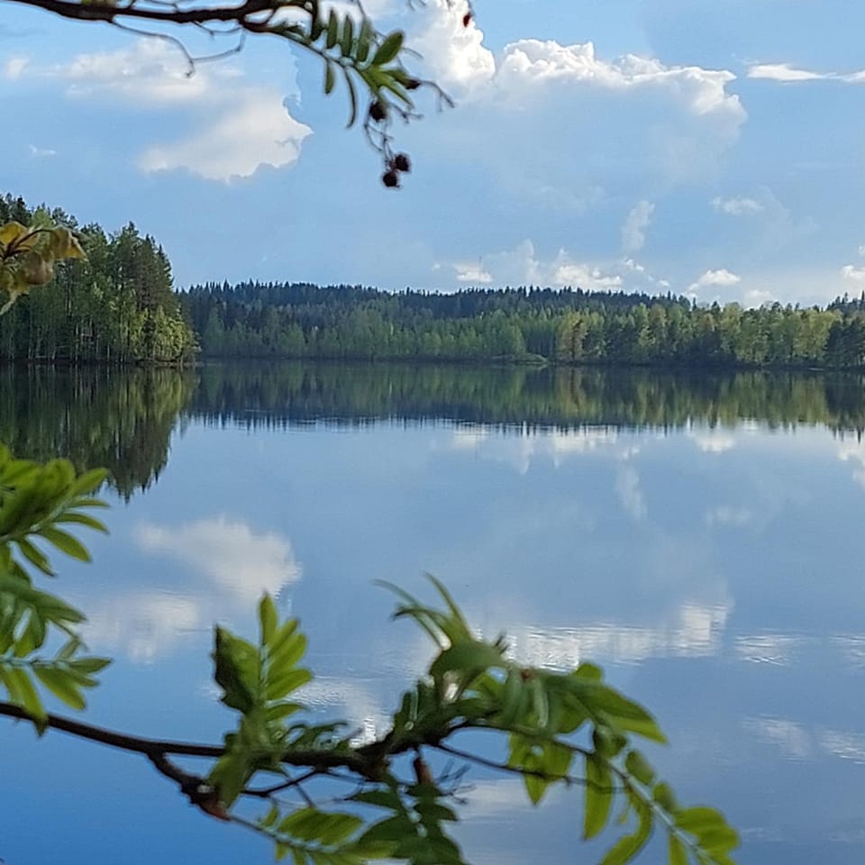 View (from property/room), Lake view