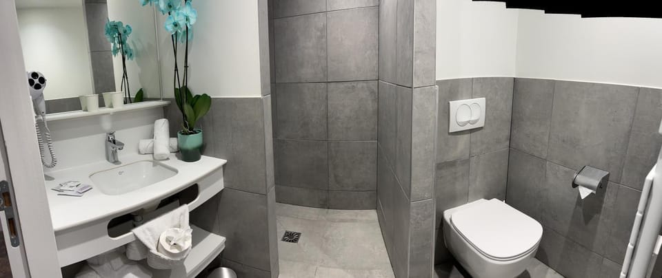 Shower, Toilet, Bathroom, towels