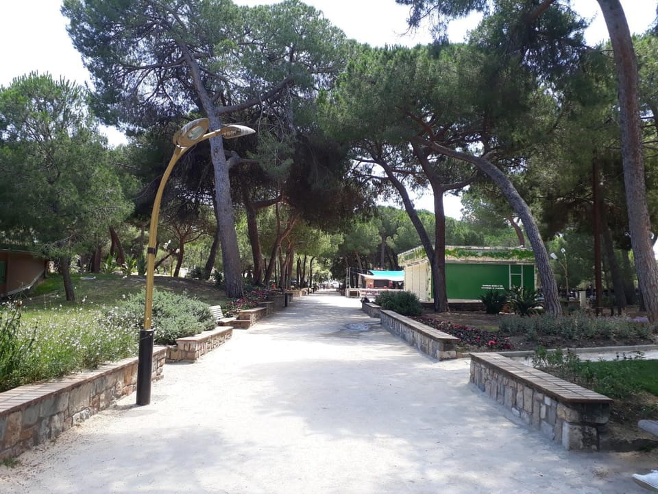 Neighbourhood, Garden