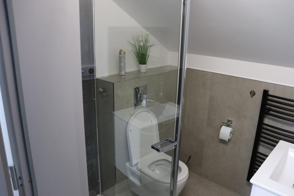 Shower, Toilet, Bathroom, towels