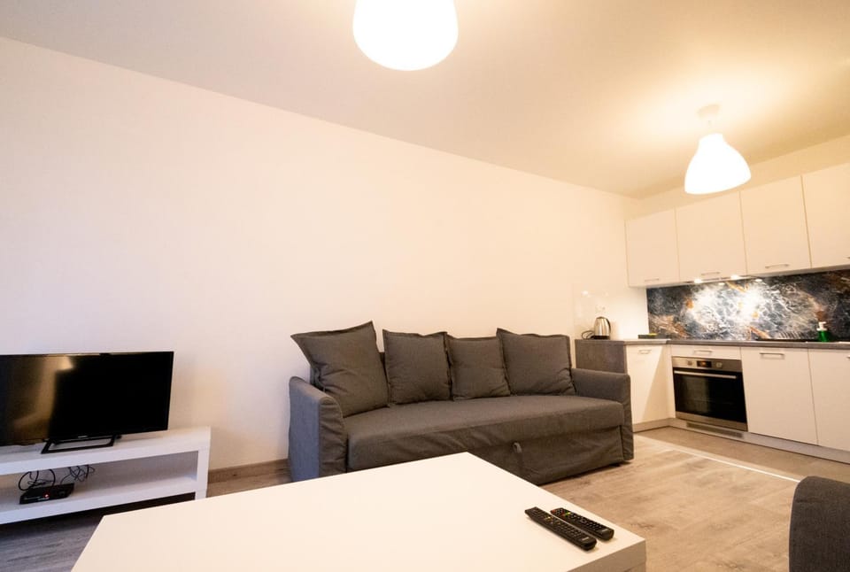 TV and multimedia, Kitchen or kitchenette, Living room, Seating area