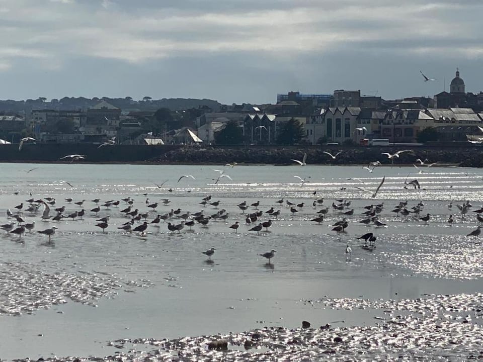 Neighbourhood, Beach