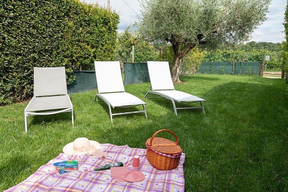 Patio, Garden, Garden view