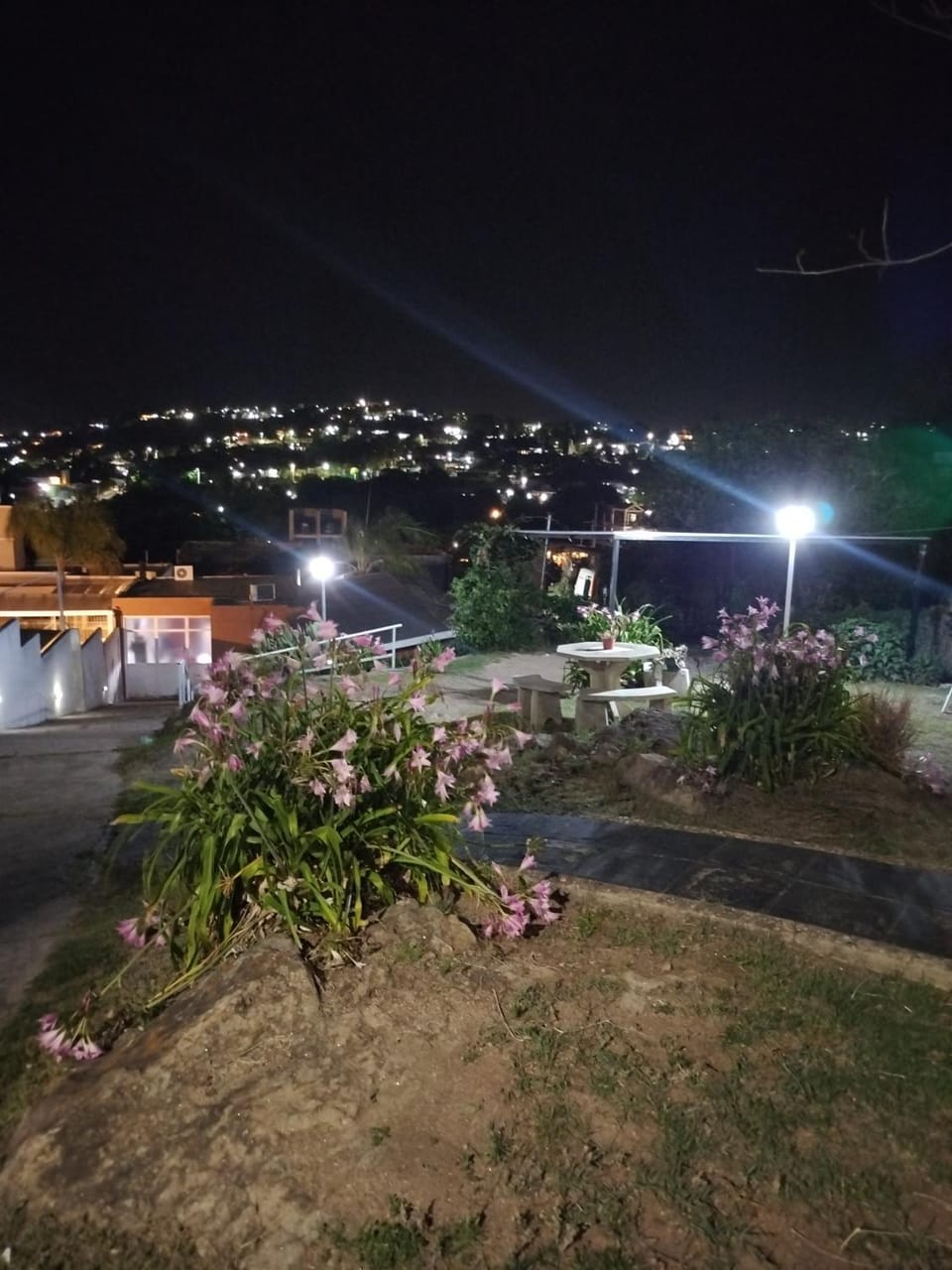 Property building, Night, City view