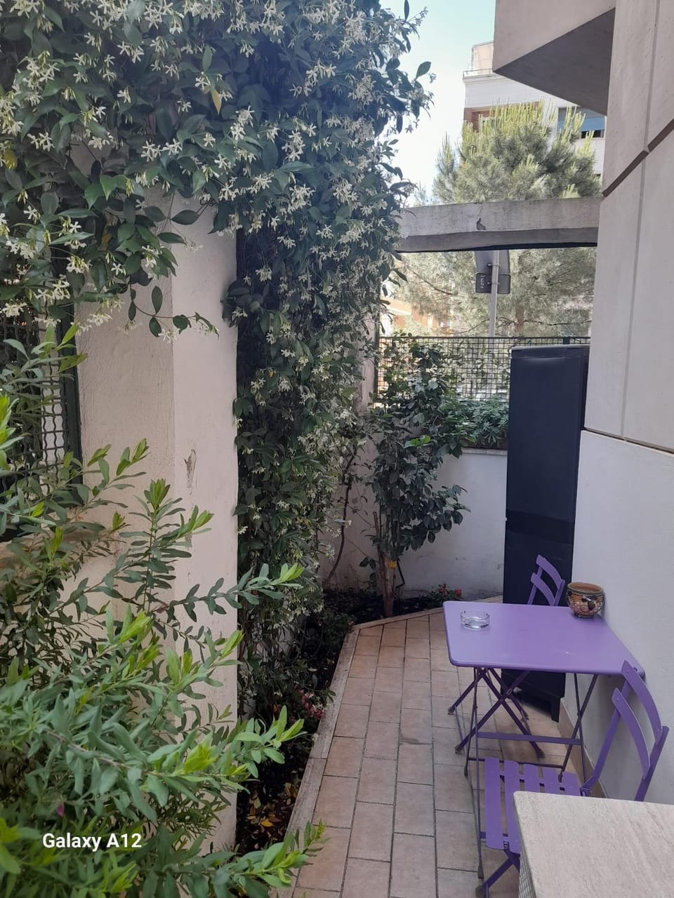 Summer, Garden