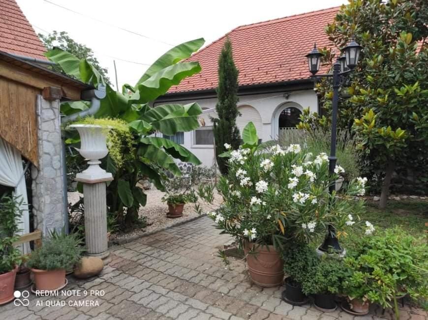 Property building, Patio, Garden