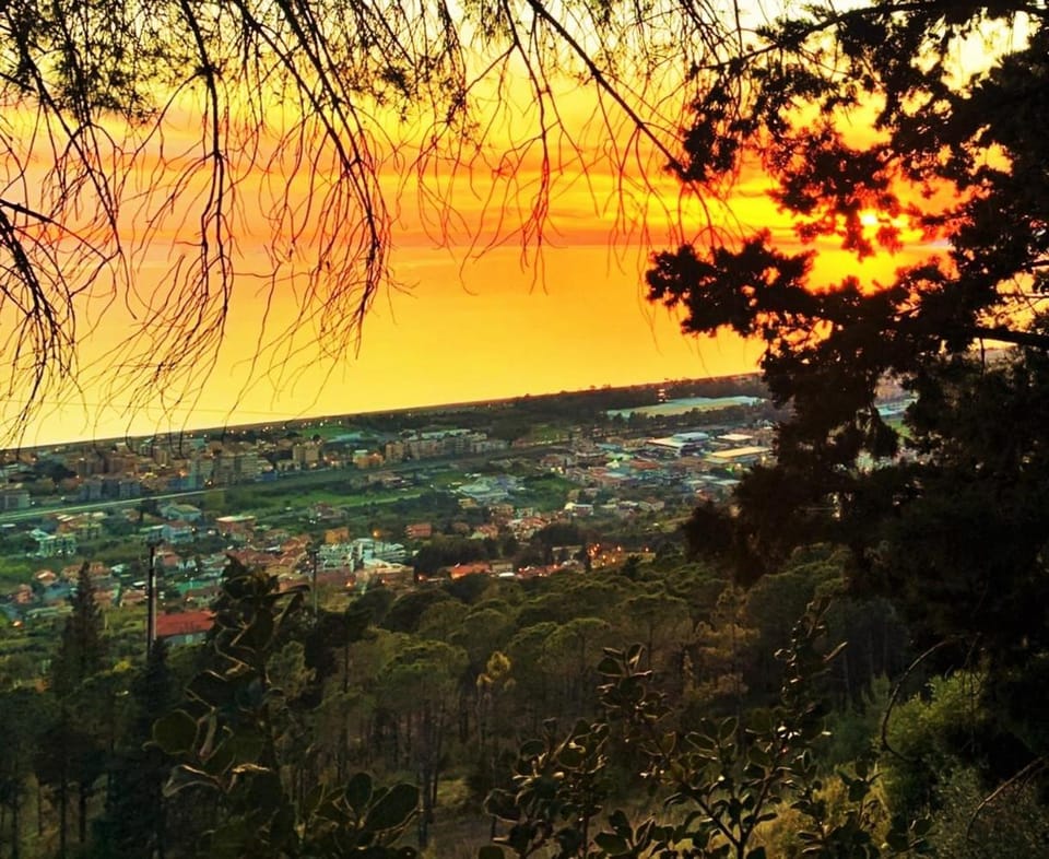 Natural landscape, Sunset