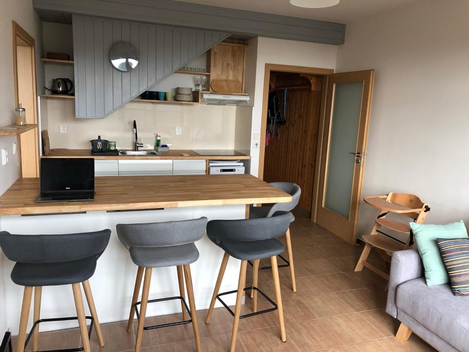 Cihlarka 301 Apartment in Czechia