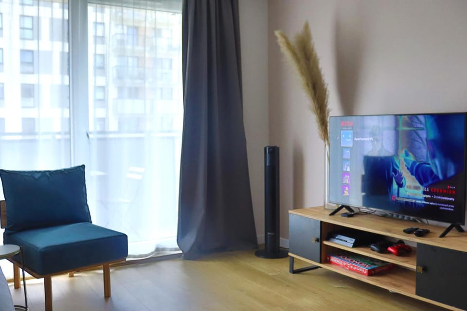 TV and multimedia
