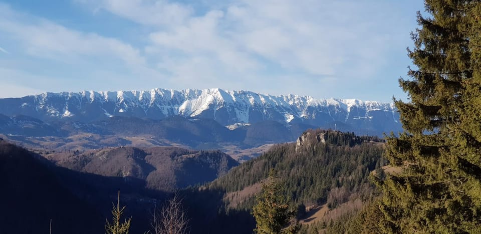 Pensiunea Emage Moieciu Bed and Breakfast in Brașov County