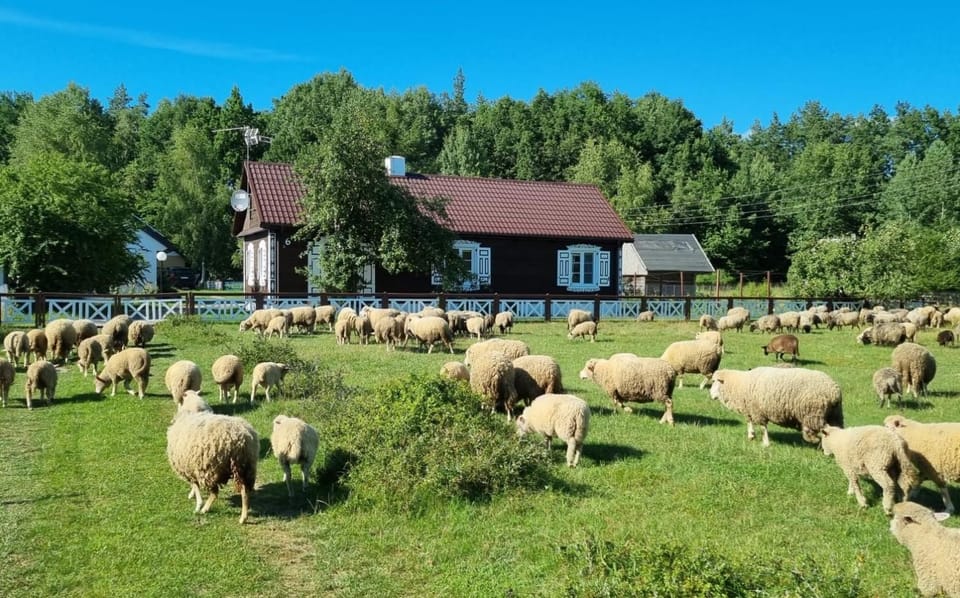 Property building, Natural landscape, Animals