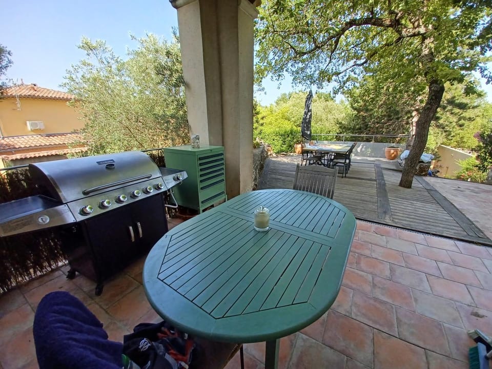 La chênaie Villa in Provence-Alpes-Côte d'Azur