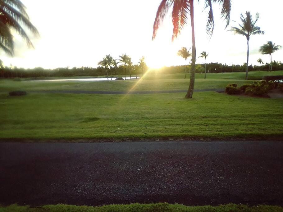 Golfcourse