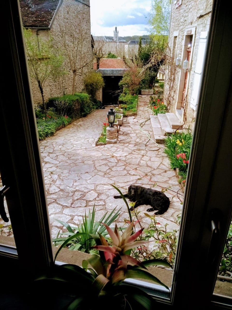 Garden view