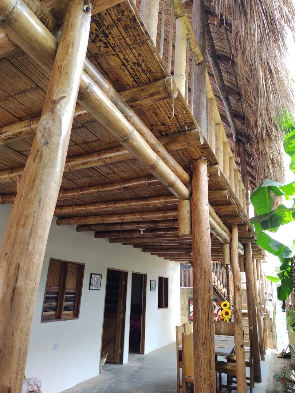 Cabaña Buenos Aires Bed and Breakfast in Magdalena, Colombia