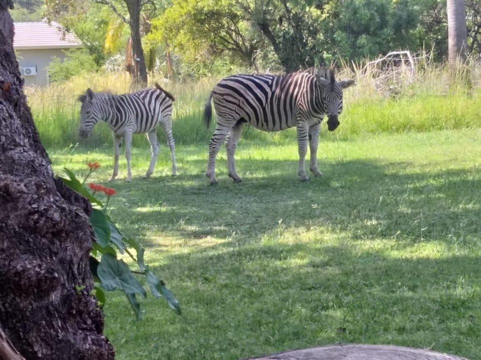 Ebenhaeser overnight accomodation Vacation rental in North West, South Africa