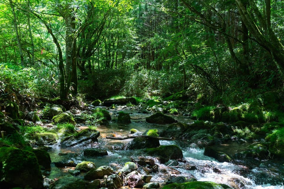 Natural landscape