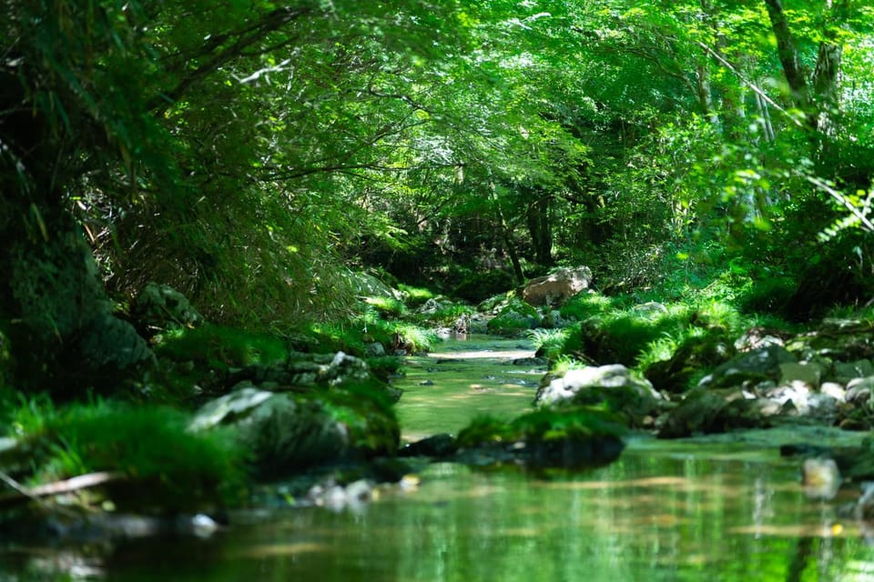 Natural landscape