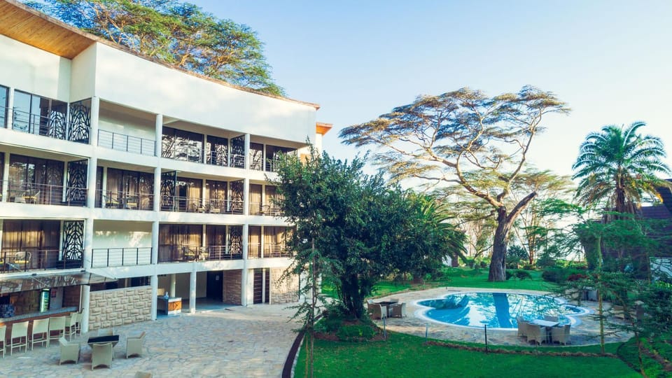 Garden, Pool view, Swimming pool