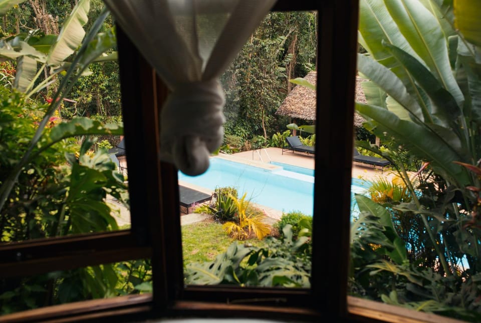 Garden, Garden view, Pool view, Swimming pool