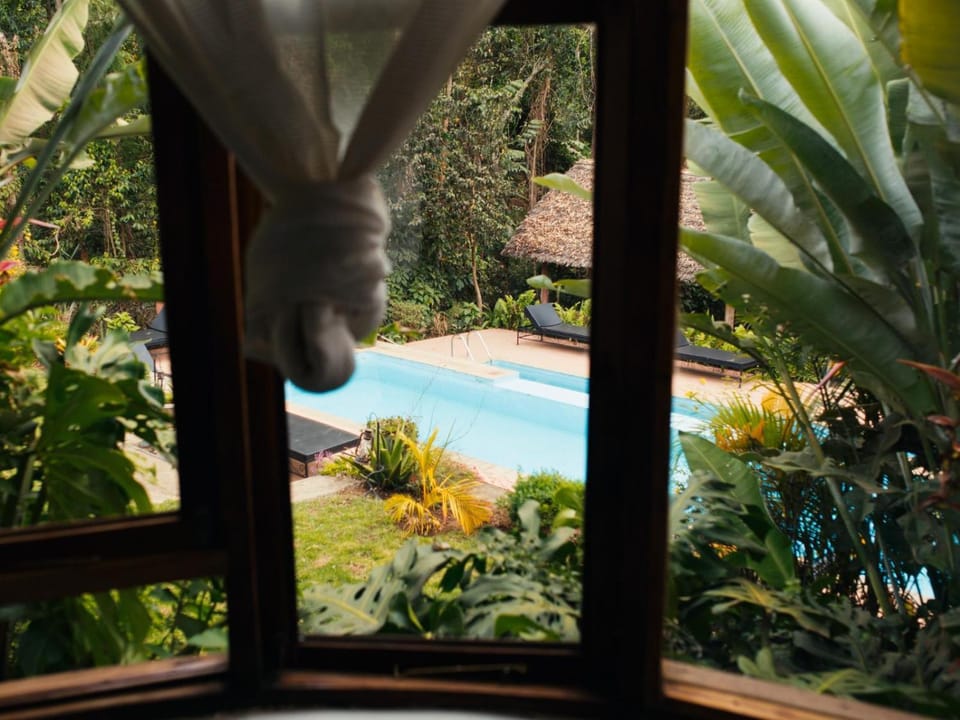 Garden view