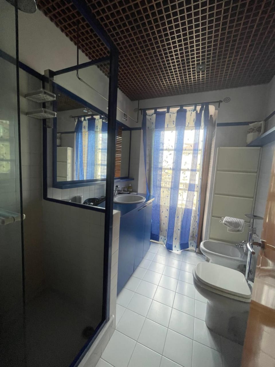 Shower, Toilet, Bathroom, bidet