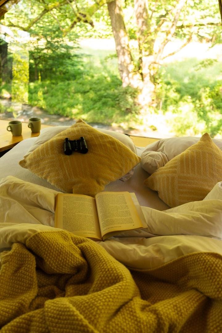 Day, Natural landscape, Photo of the whole room, Bedroom