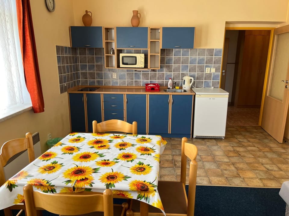 Apartmánový dům Obecná škola Apartment in South Bohemian Region