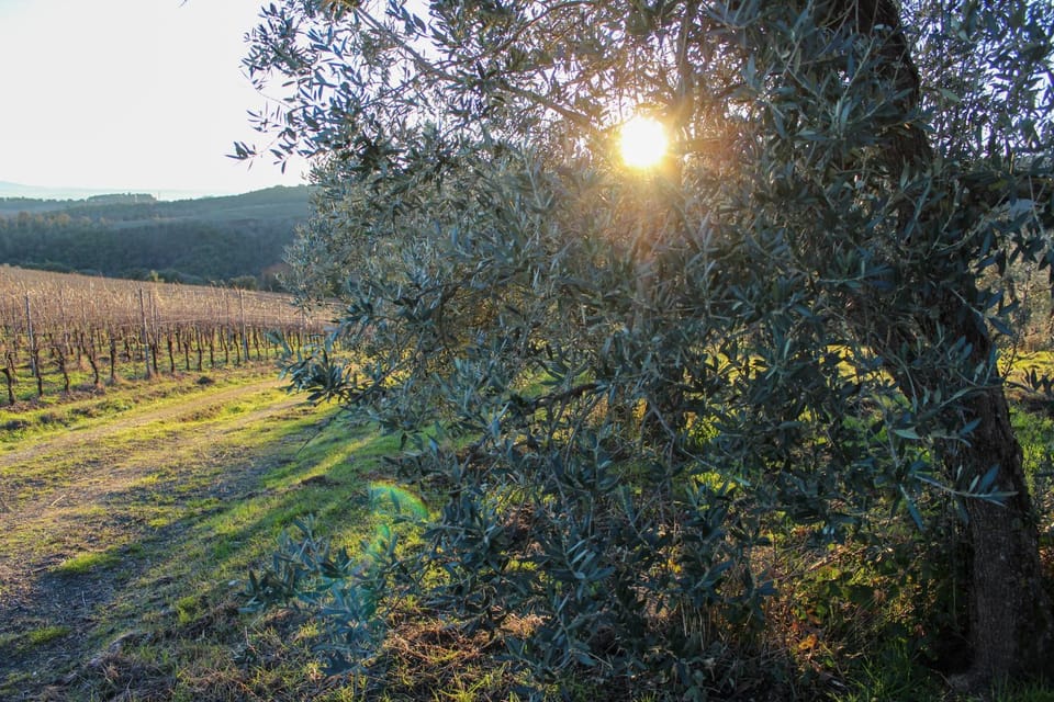 Natural landscape, Sunset