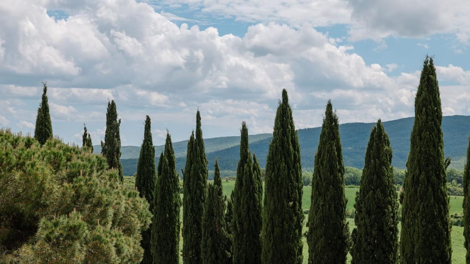 Natural landscape