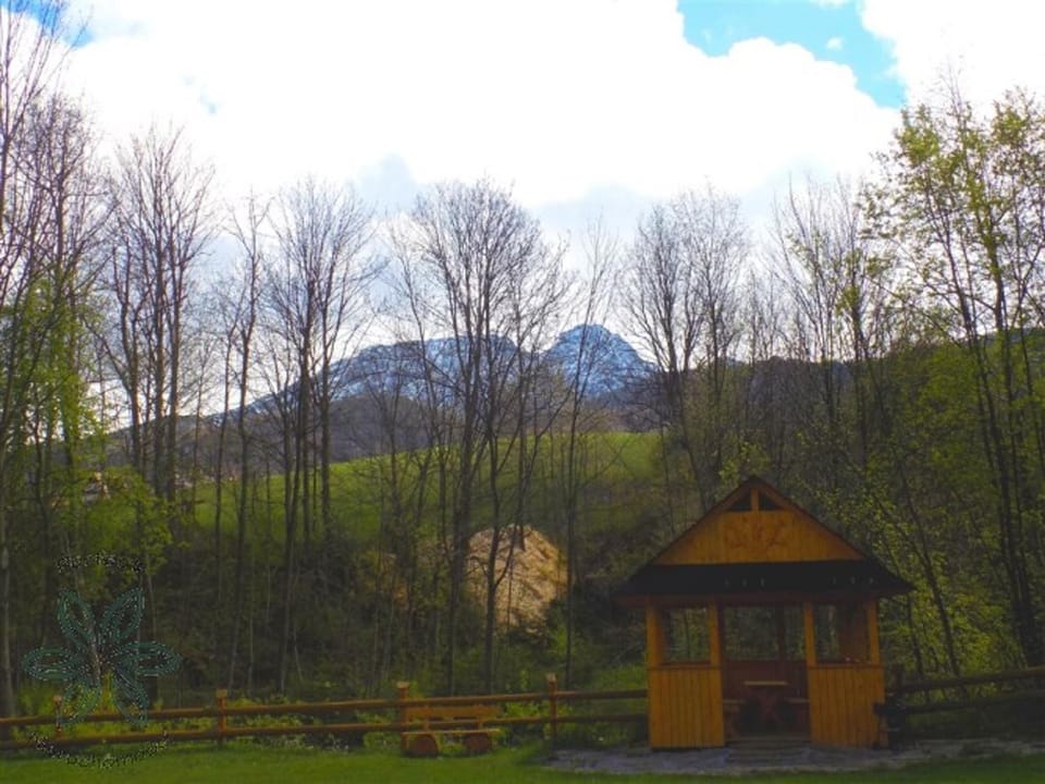 Mountain view