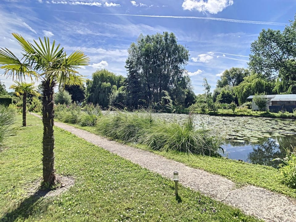 Lake view, Lake view