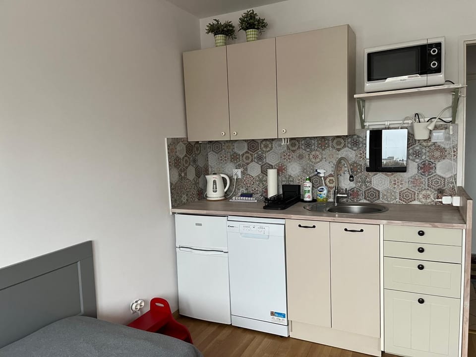 Coffee/tea facilities, Kitchen or kitchenette, dishwasher, minibar, stove