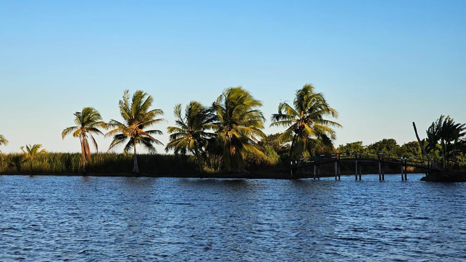 Lake view