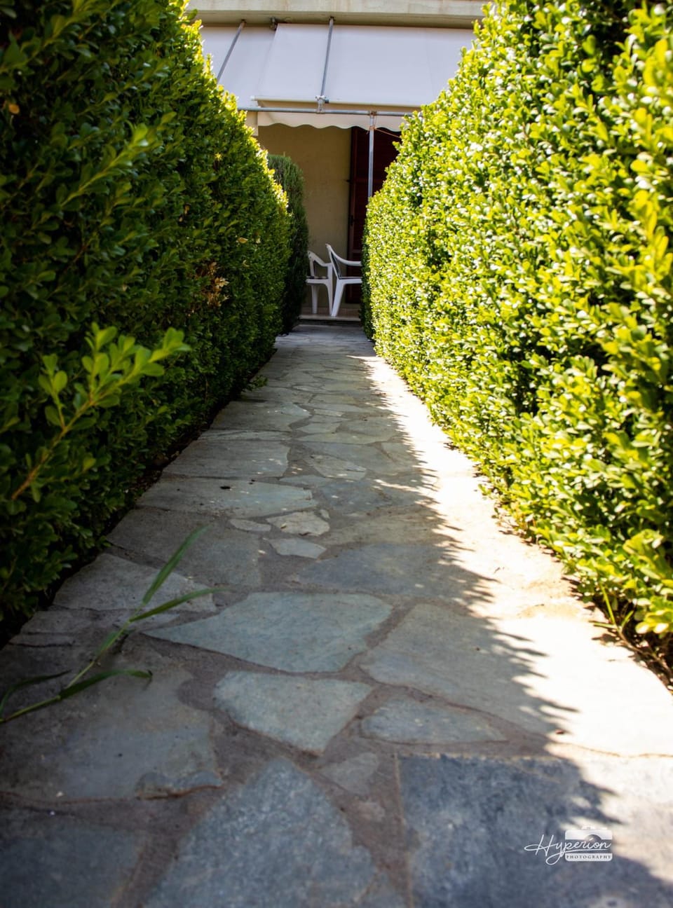 Patio, Facade/entrance, Garden, Decorative detail