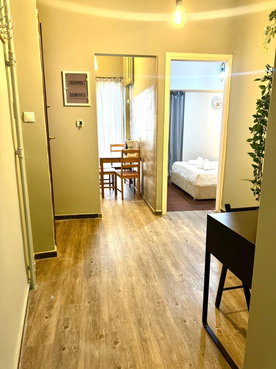 Bed, Kitchen or kitchenette, Photo of the whole room, Dining area, Bedroom