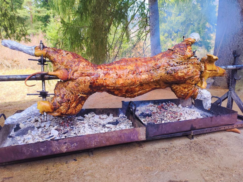 Day, BBQ facilities, Food
