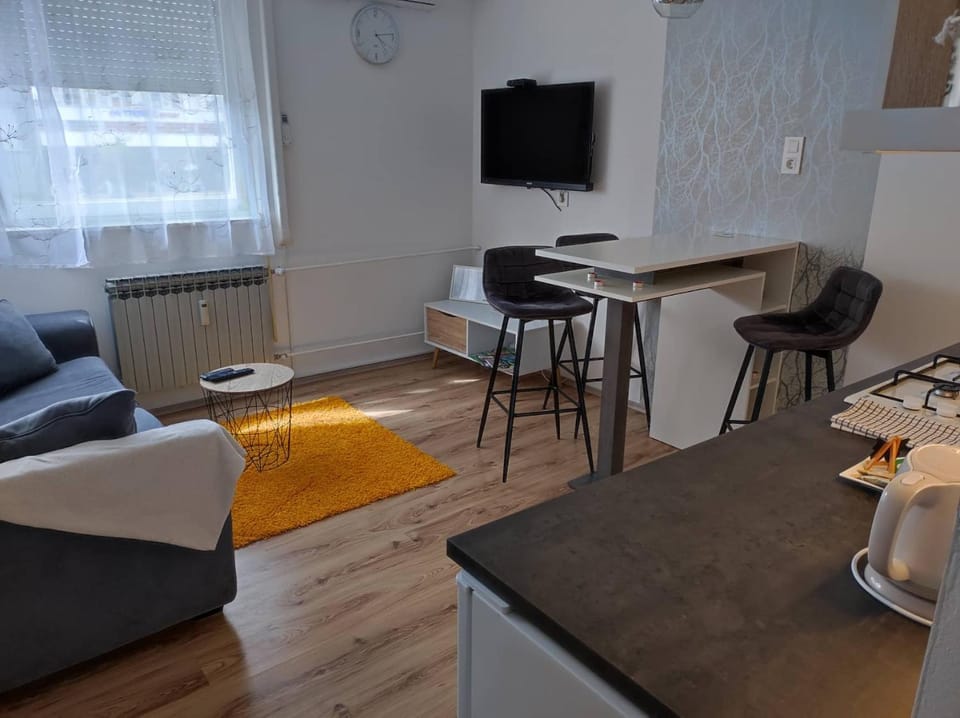 Apartman Emy Apartment in Slovenia