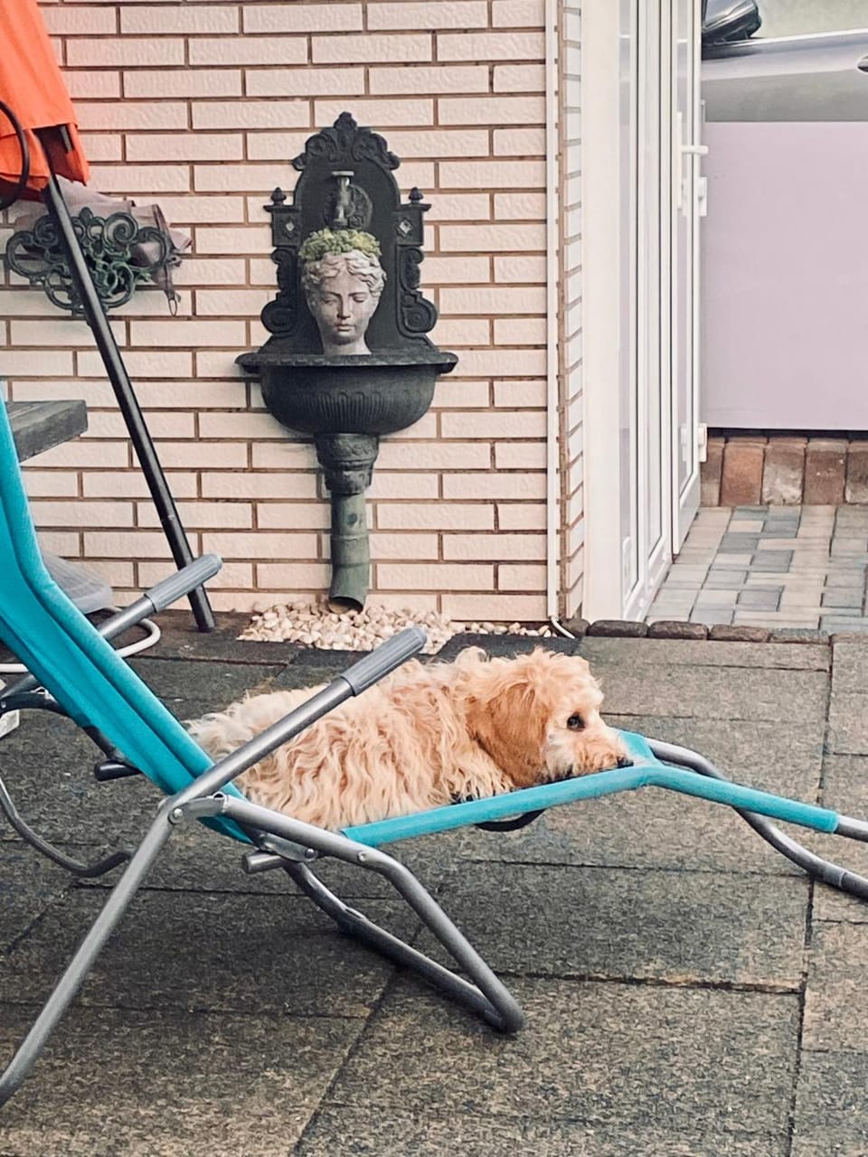 Balcony/Terrace, Pets