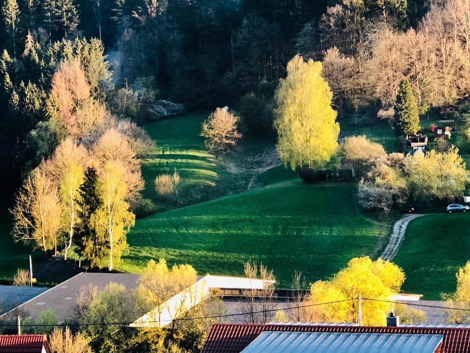 Natural landscape