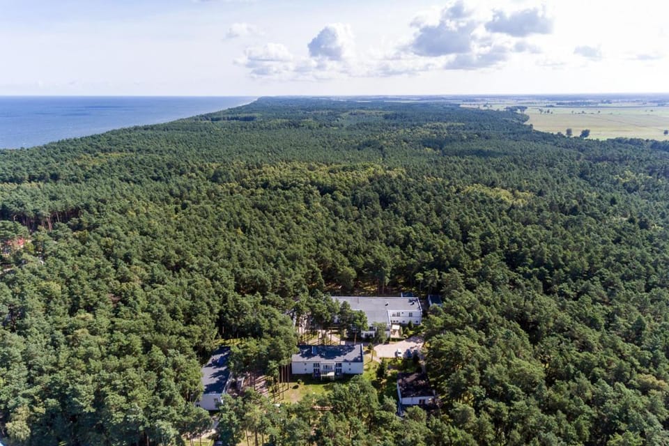 Natural landscape, Bird's eye view