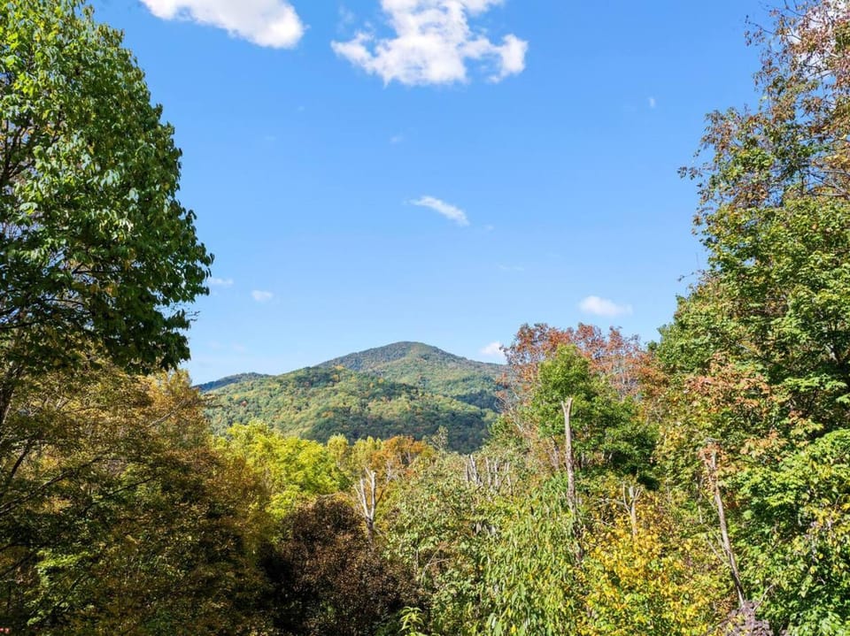 Bella Vita - Pet Friendly Cabin Cabin in Maggie Valley