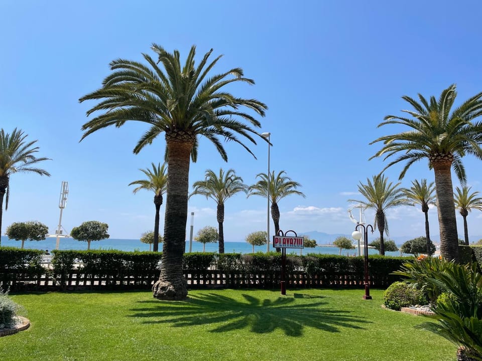 Natural landscape, Garden, Garden view, Sea view
